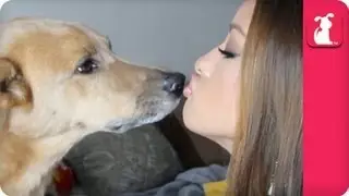 LoveMelissaMichelle - The Pet Haul