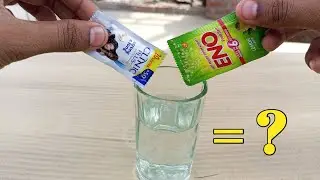 ENO vs SHAMPOO amazing experiment