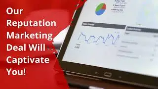 Video Of Reputation Marketing In Albany!