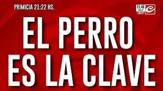 El perro es la clave en la detención del agresor de Yanet