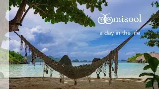Misool: A Day in the Life