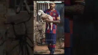 Football Players Animals Hybrid | Hybrid animals | Animation| Short animation | Amazing Animation