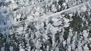Magic view of frozen ice bubbles, Abraham Lake, Southwest of Nordegg, Alberta, Canada