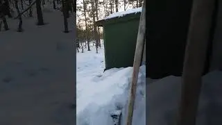 Nature photography Golden Eagle hides in Finland