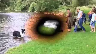 onze 3 woefers in de ardennen