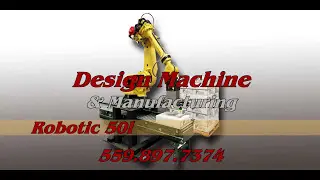 DMM Robotics   2017