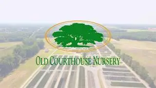 Old Courthouse Nursery - Overview Video