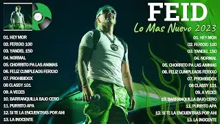 Solo Exitos Feid - Mix Feid Al 2023 - Las Mejores Canciones De Feid 2023 - Reggaeton Mix 2023