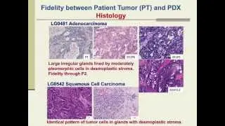 Patient-Derived Xenografts for Cancer Therapeutics Development and Predictive Modeling