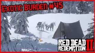 Exotic Burden #45 Red Dead Redemption 2 (VOD)