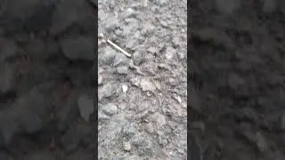 first time start joging video 😡