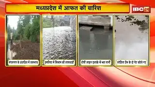 Heavy Rain in MP: मध्यप्रदेश में आफत की बारिश। मूसलाधार बारिश से पुल-पुलिया क्षतिग्रस्त। देखिए..