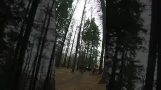 HUGE MTB JUMPS #mtb #mtbaddict #downhill #shorts