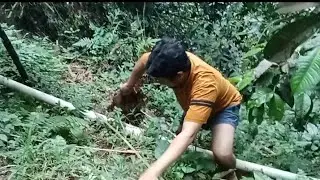 Kerussukan kehutan hampir saja terperosok 
