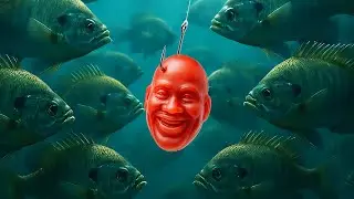 Candy Lure Fishing Challenge