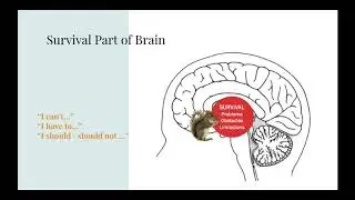 5  - Thoughts Cultivating Optimism