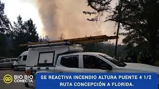 INCENDIO FORESTAL CAMINO A FLORIDA ALTURA PUENTE 4 1/2 CON PELIGRO DE PROPAGACI&Oacute;N.