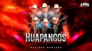 Maxibus Norteño - Huapangos Bella Ciao & Las Huilotas [Official Video]