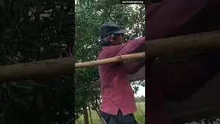 #shorts farmer from borneo 48