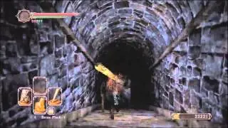 Huntsman's Copse location guide: Dark Souls 2