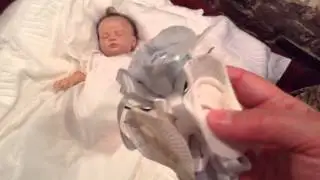 Vintage Theme Thursday with Lillie Beth, Reborn Baby Doll, Assisted by MollyCat