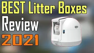 TOP 5 Best Litter Boxes Review 2021