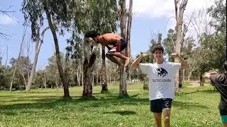 trying 