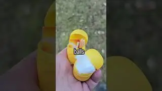 Kinder Egg Outback Survival Secrets