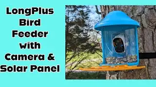 Bird Feeder Camera Review - #birdwatching