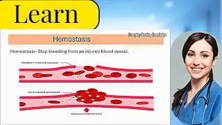 Hemostasis Explained: Primary & Secondary Hemostasis | Coagulation Made Easy