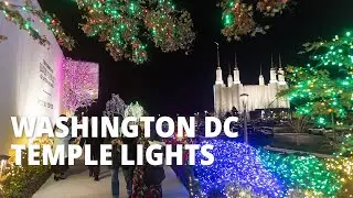 Washington DC Temple Lights