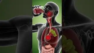 How to Drink Beetroot Juice Safely for Heart Health Energy and Detox#facts #viral #shorts #video