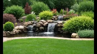 The Ultimate Guide to Conserving Water in Your Garden