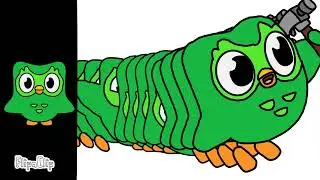 Duolingo meme (no sound) no copy 