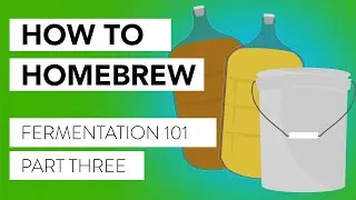 So You Want to Brew! Our Intro Course to Brewing and Fermentation | Part 3: Fermentation