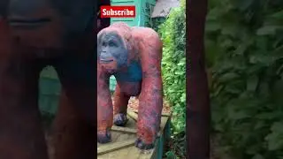 Jungle Rangers Christmas Chessington #shorts #jungle #christmas2022 #chessington #winter #uk #rides