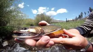 Cow Creek Ranch Promo Video