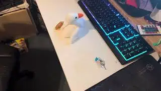 That ghoose is afraid of the scary logo ￼