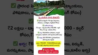 Business Ideas Telugu| Is Spirulina Farming The MOST Profitable Business Idea In Telugu #shorts