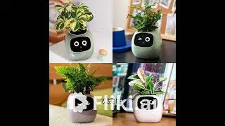 Meet the Flower Pot That Talks Back!