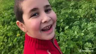 جولة في ارضنا في بزاريا (لقطنا خبيزة وزعتر)