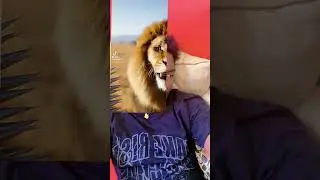 Gen foli mwen pap janm genyen s&egrave;l si se yon lanp kap limen nan degyenn mwen #bollywood #duet #humor