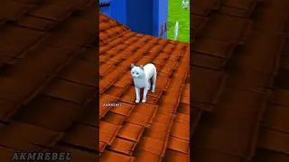 Anaya Sabko Yahan Le Aayi 😱😳 | Gulli Bulli | Cartoon ShortsAnaya Ne Sabko
