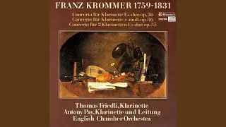 Clarinet Concerto in E Minor, Op. 86: I. Allegro