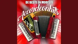 Op Zoek Naar Jouw Liefde