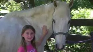 Derby Day Camp & pony race.wmv