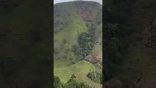 Thekkady | Periyar tiger reserve forest | kumuli tourism