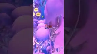 Finding Dory - Coral Reef (Scene 1) | RUSH: A Disney &bull; PIXAR Adventure