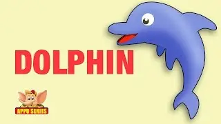 Animal Facts - Dolphin