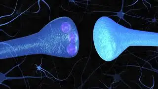 How Dopamine Works